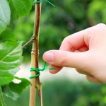 Garden Twist Ties
